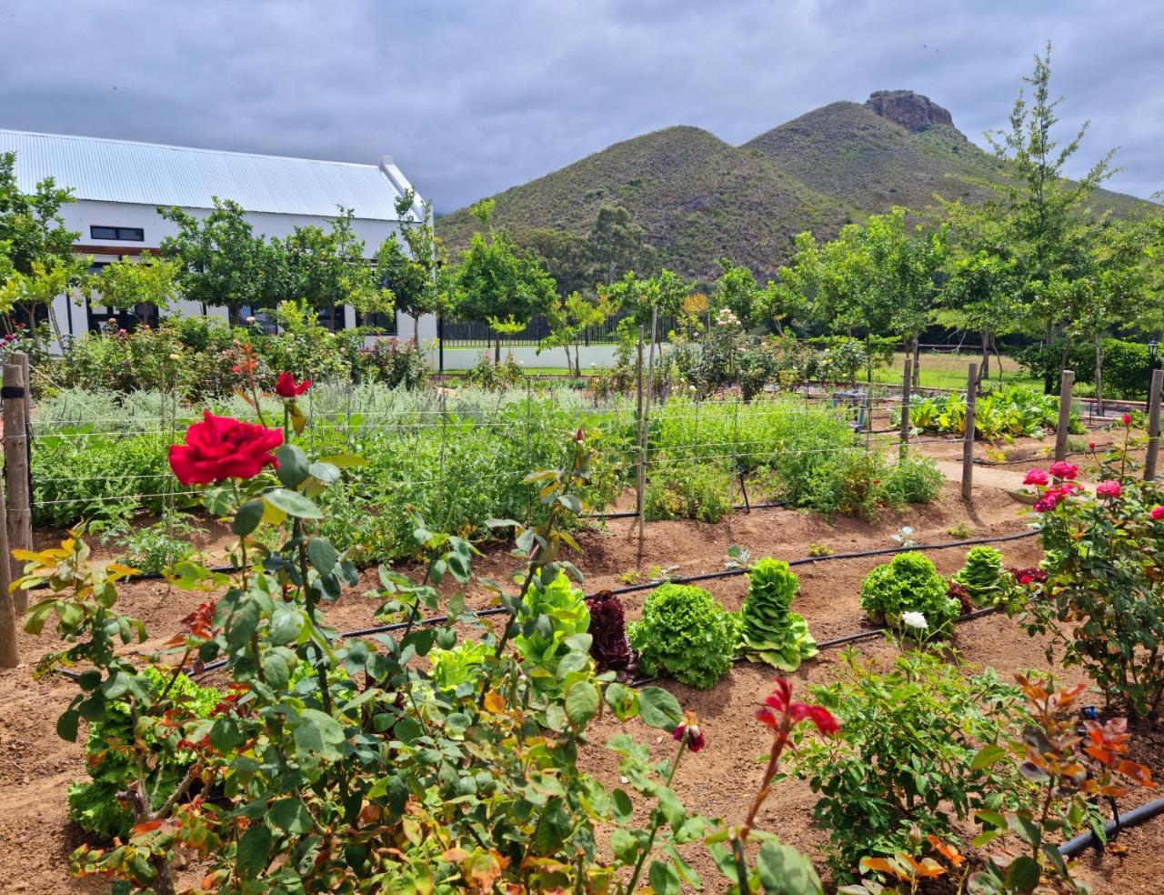 Klawerjas Flute Cottage — 4-Star Luxury Hotel in Robertson, South Africa