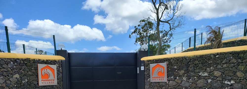 Parrots Village in Ribeira Grande, Portugal