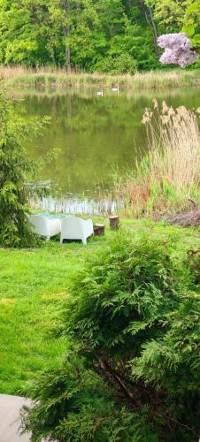 Family Villa Lake View — 4-Star Luxury Hotel in Moara Vlasiei, Romania