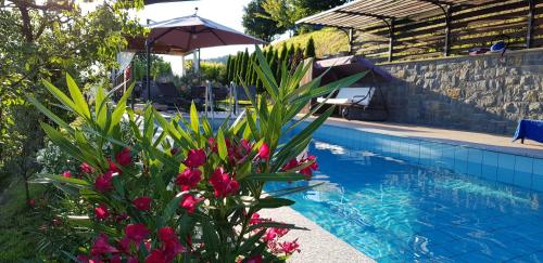 Valentina Guest House at Pintar Wine Estate — 4-Star Luxury Hotel in Deskle, Slovenia