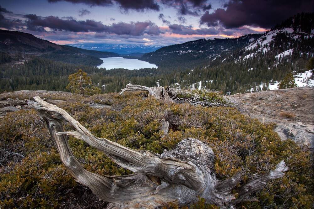 Donner Lake Village Resort - photo 51