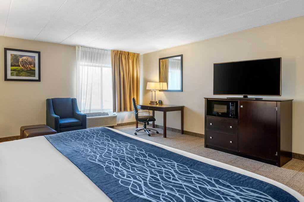 Comfort Inn Grand Rapids Airport - photo 27