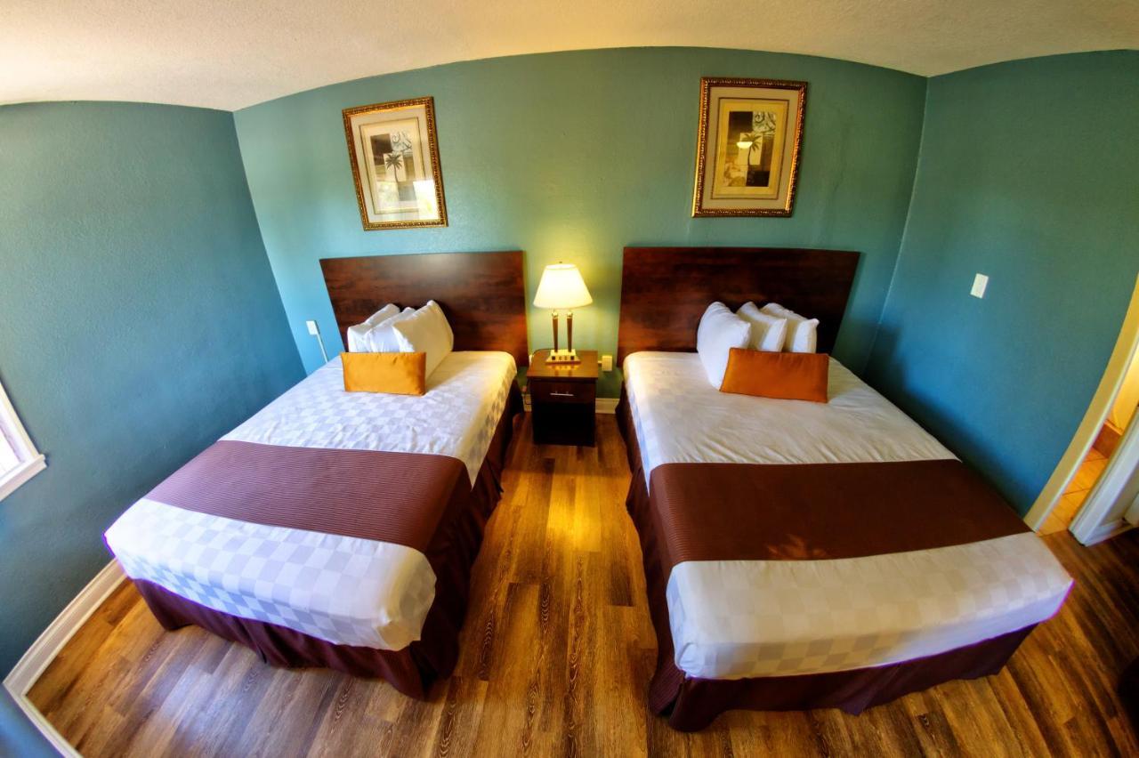 Palm Tropics Motel - photo 25