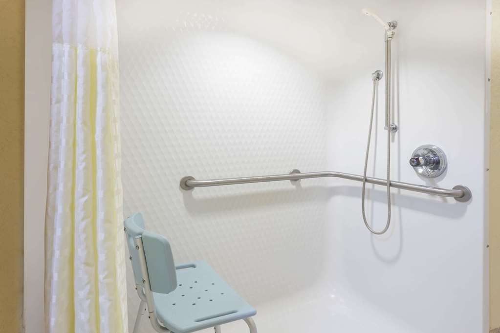 Microtel Inn & Suites by Wyndham Tuscaloosa East - photo 6
