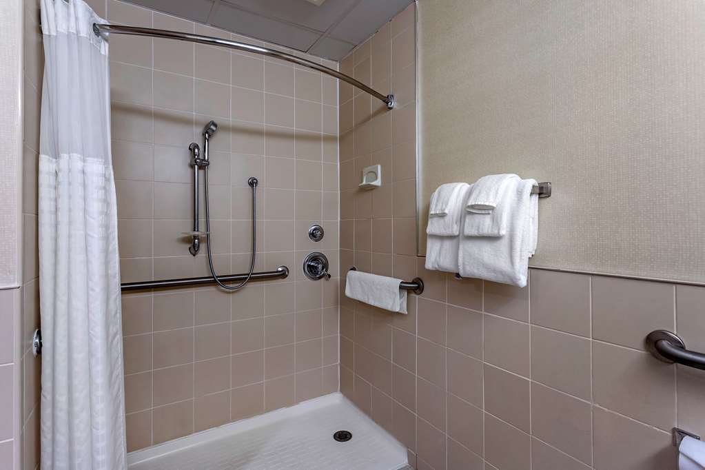 Comfort Inn Syosset Long Island - photo 16