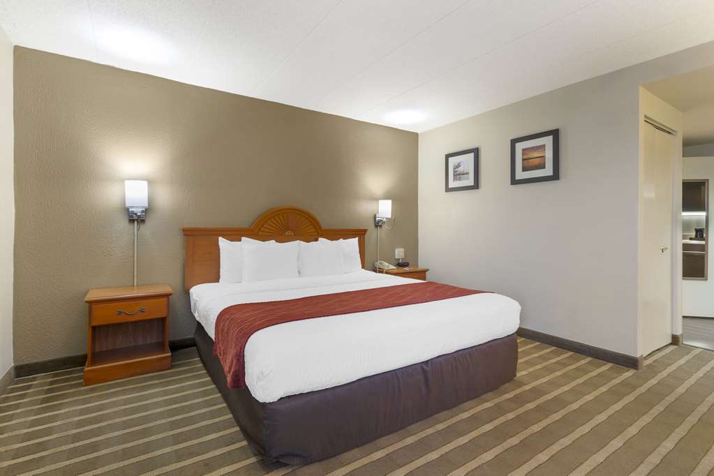 Comfort Inn University Center - photo 33