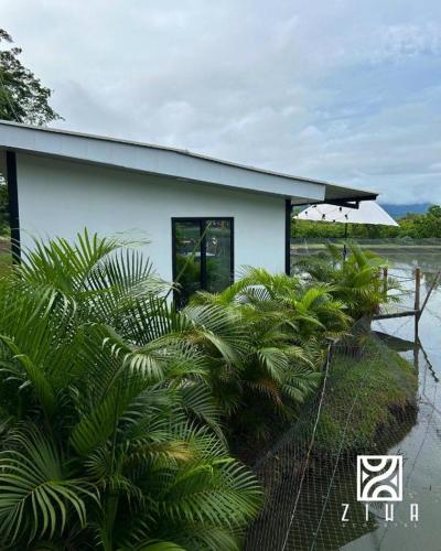 Ziwa Ecohotel Roldanillo Valle Cabaña Fika in Roldanillo, Colombia