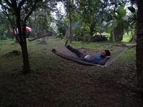 Palmy Lake Resort in Alleppey, India