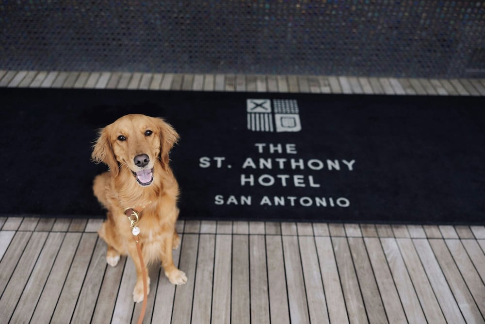 The St. Anthony A Luxury Collection Hotel San Antonio - photo 101