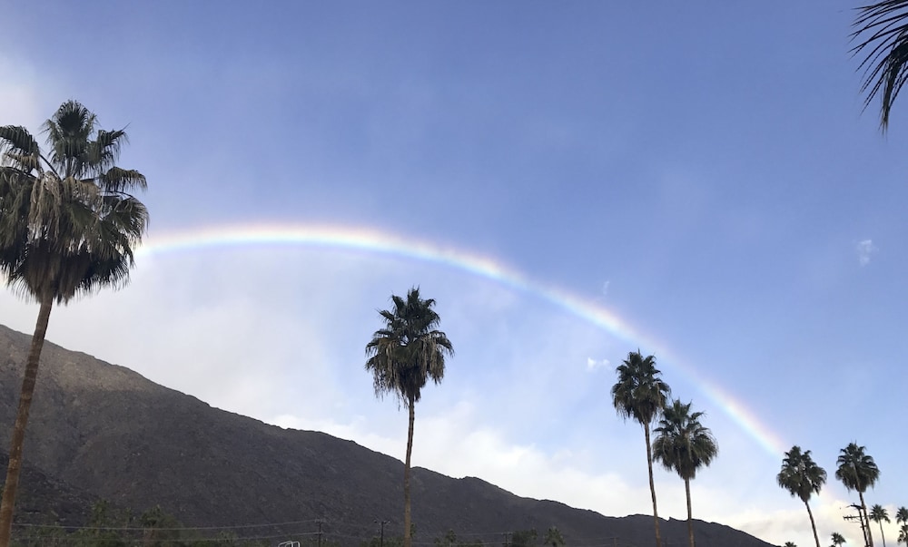 Delos Reyes Palm Springs - photo 47