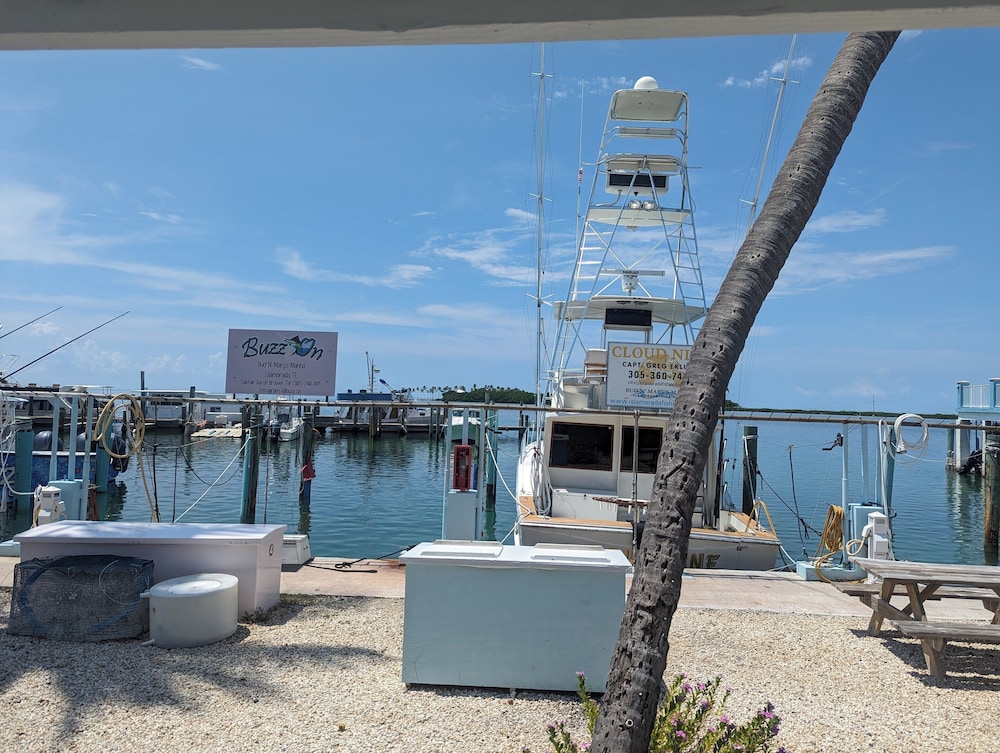 Bud N' Mary's Fishing Marina - photo 32