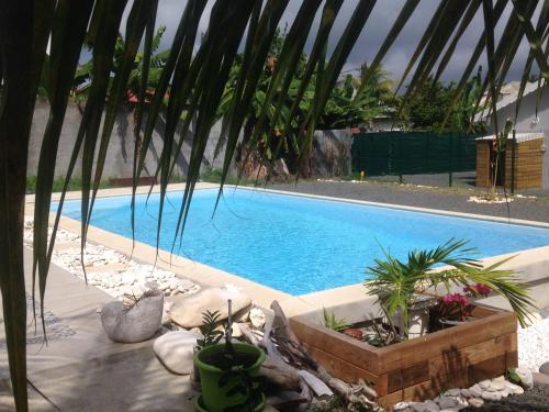 Chambre d'hôte Coeur CoCo piscine — 4-Star Luxury Hotel in Saint-Francois, Guadeloupe