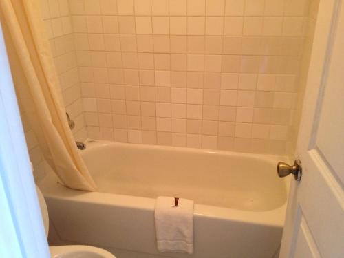 Austin Motor Inn - photo 25