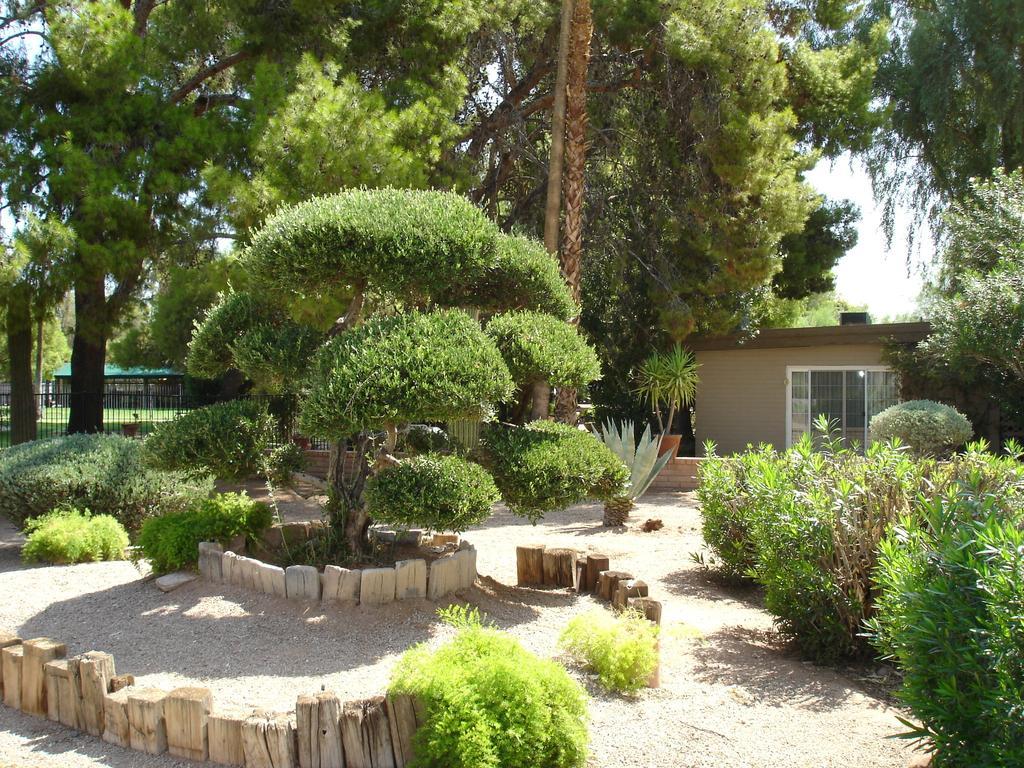 SmokeTree Resort and Bungalows - photo 2