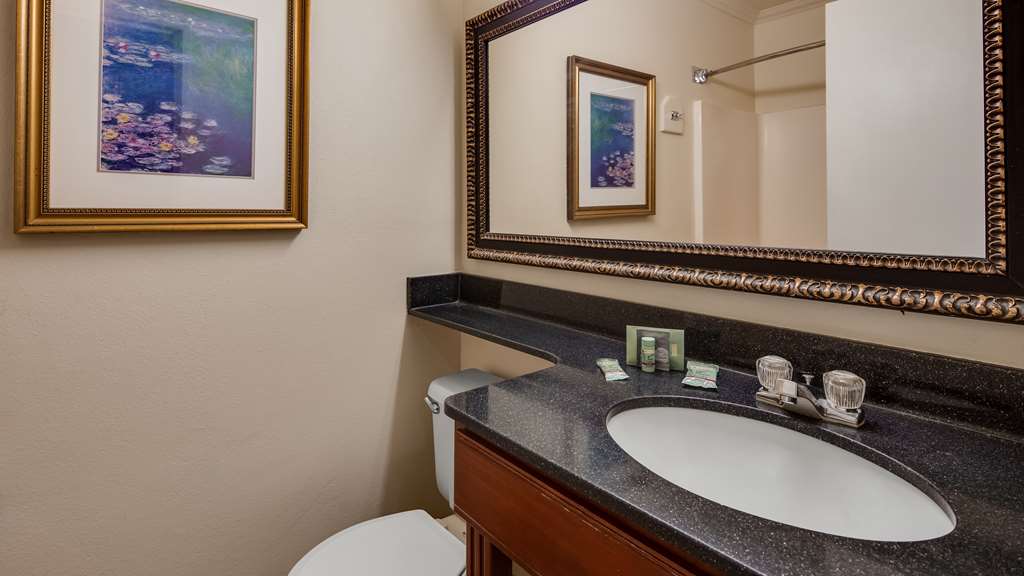 Best Western Lapeer Inn - photo 35