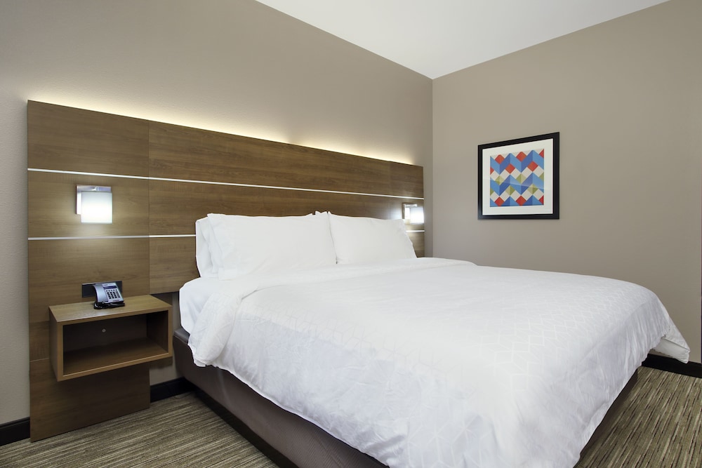 Holiday Inn Express & Suites Dallas Frisco NW Toyota Stdm by IHG - photo 10