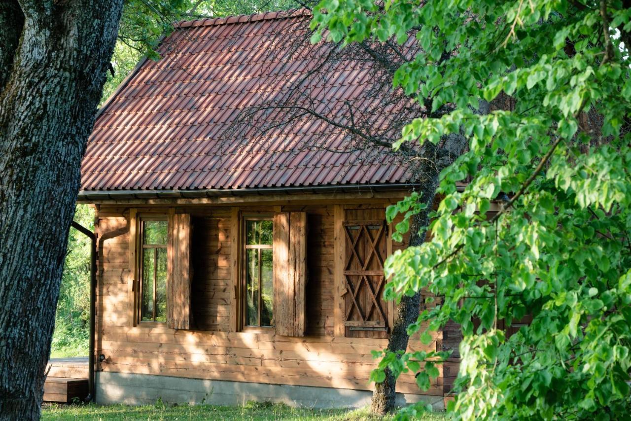 Siedlisko Szaciłówka Domek Lipowy — hotel in Krynki