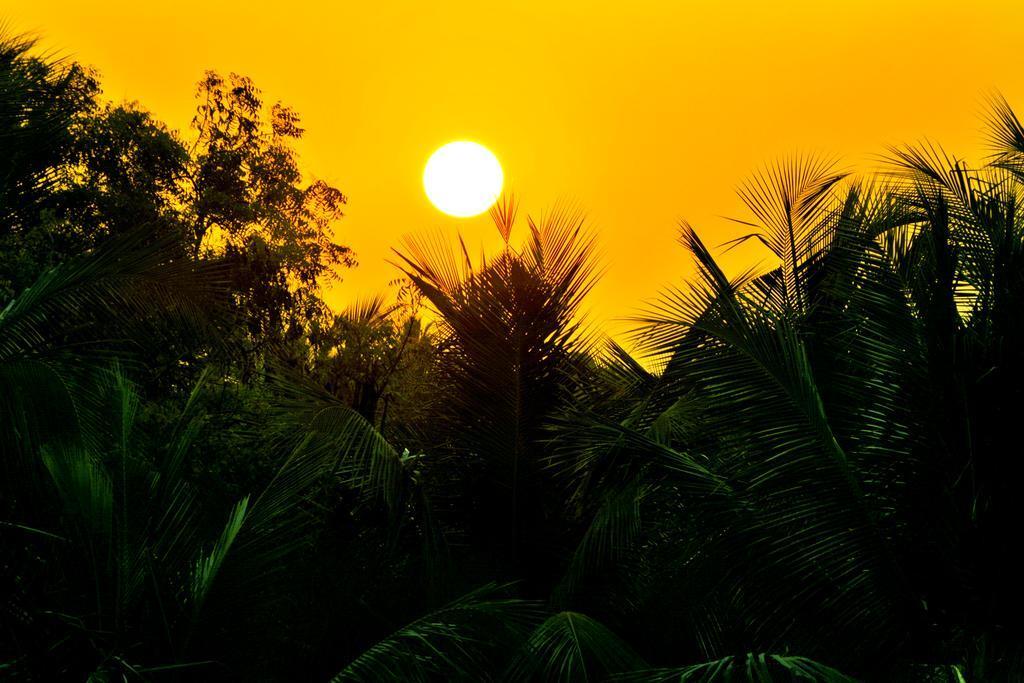 Vedanta Wake Up Pondicherry Auroville Beach — Puducherry