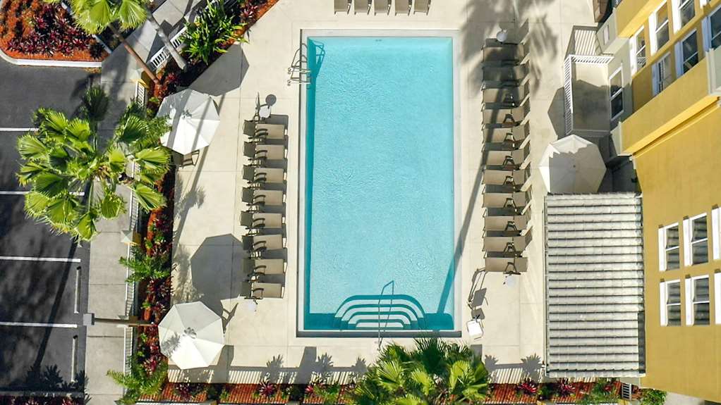 Galleria Palms Hotel - photo 50