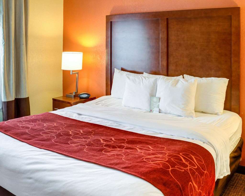 Comfort Suites Omaha Northwest - photo 21