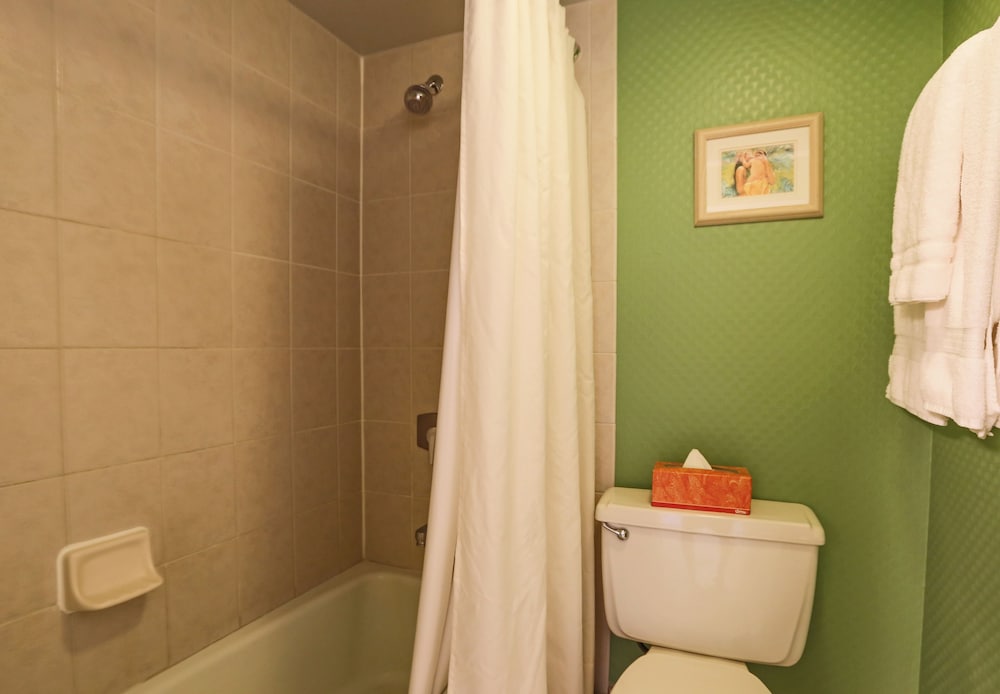Valley Isle Resort - photo 37