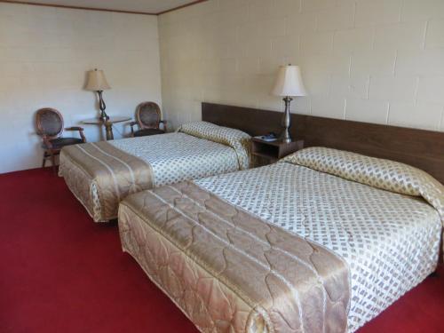 Alamo Inn - photo 18