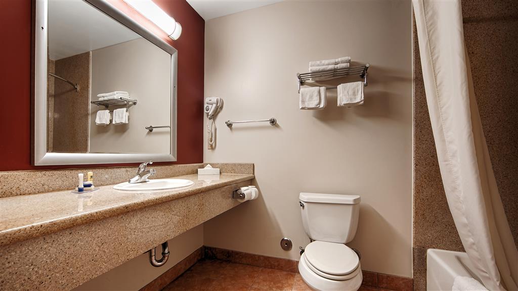 Best Western Burbank Airport Inn - photo 19