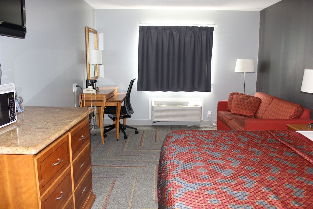 American Inn and Suites Ionia - photo 19