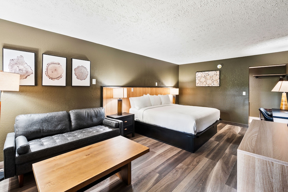 Tremont Lodge & Resort - photo 101