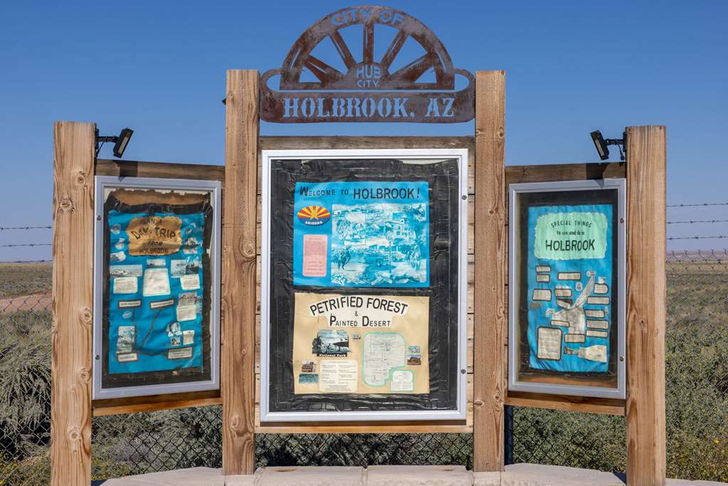 La Quinta Inn & Suites by Wyndham Holbrook Petrified Forest - photo 45