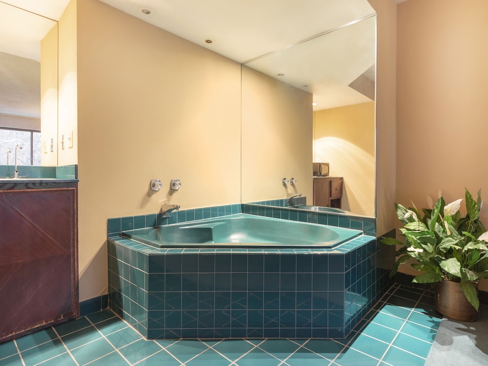 Mansion View Inn and Suite - photo 63