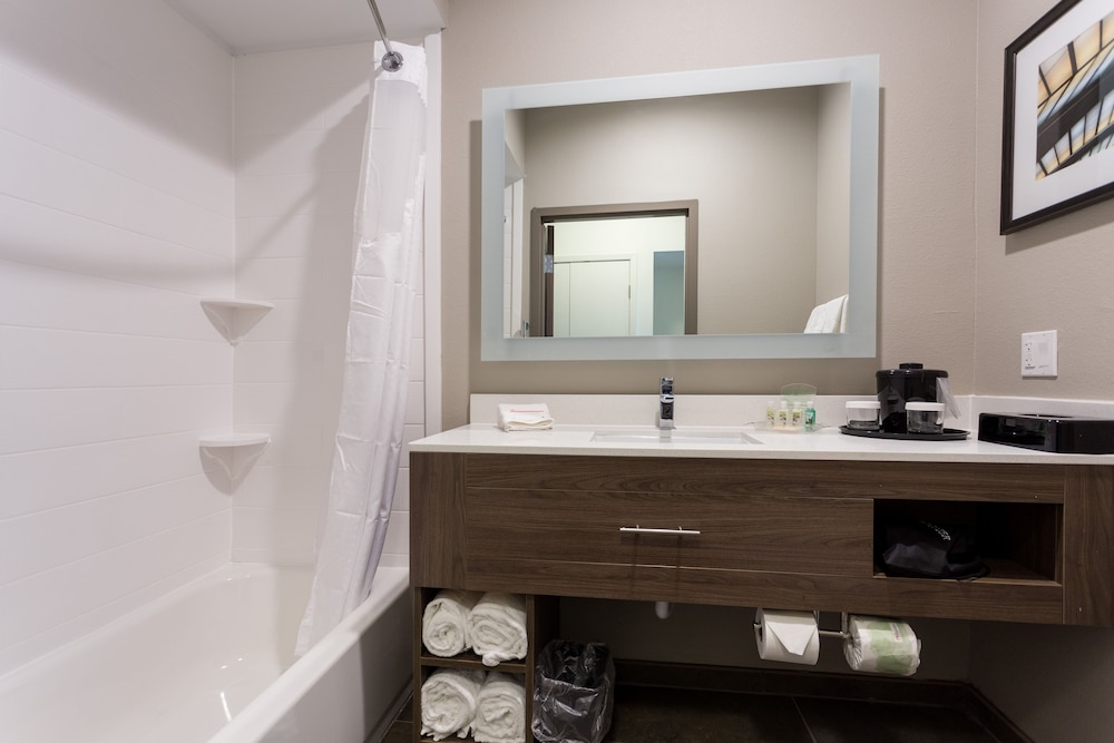 Holiday Inn San Marcos Convention CTR Area by IHG - photo 18