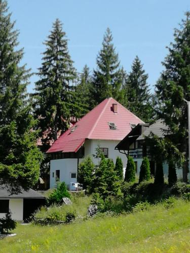 Druga priča in Vlasic, Bosnia and Herzegovina