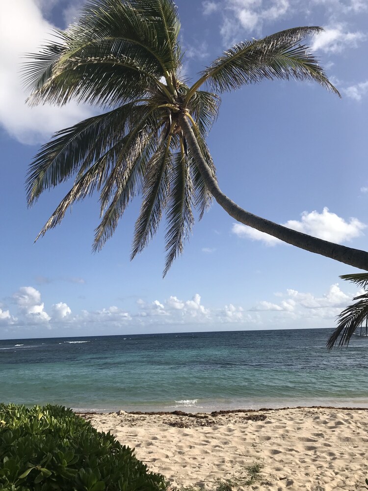 The Palms at Pelican Cove in Saint Croix, U.S. Virgin Islands