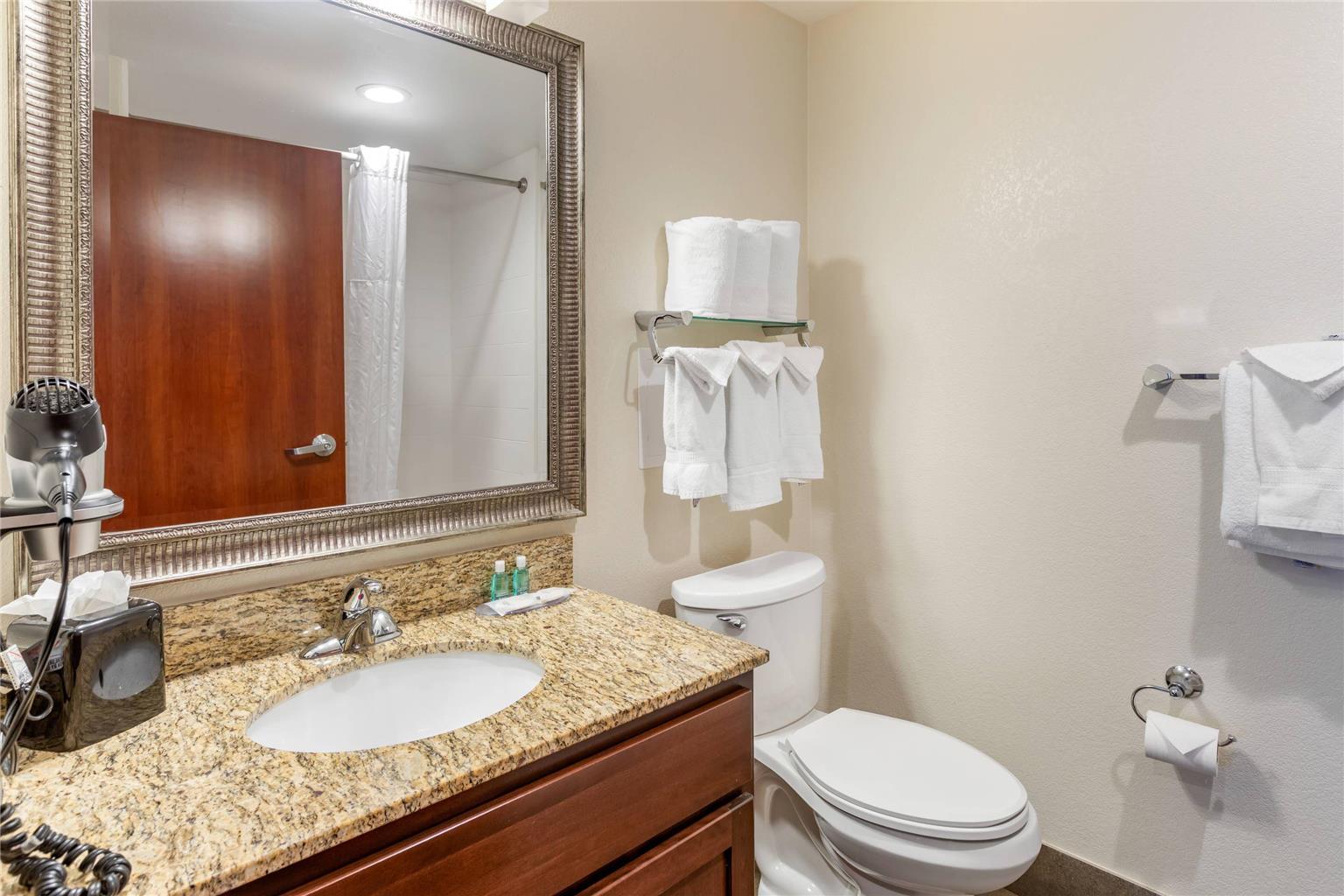 MainStay Suites Near Denver Downtown - photo 12