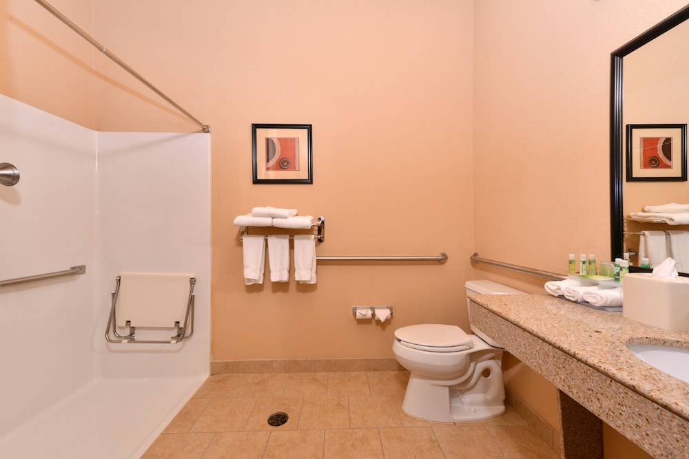 Holiday Inn Express Suites Van Buren Ft Smith Area by IHG - photo 42