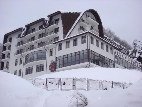 Hotel Valea cu Pesti