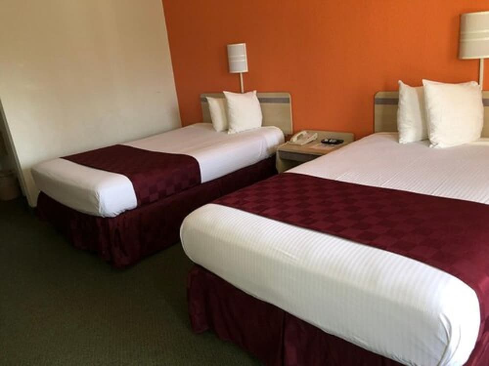 Delta Inn - photo 5