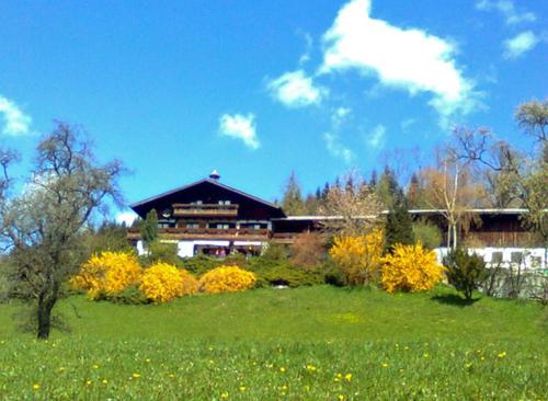Biohof Schwanser — hotel in Steinbach Am Attersee