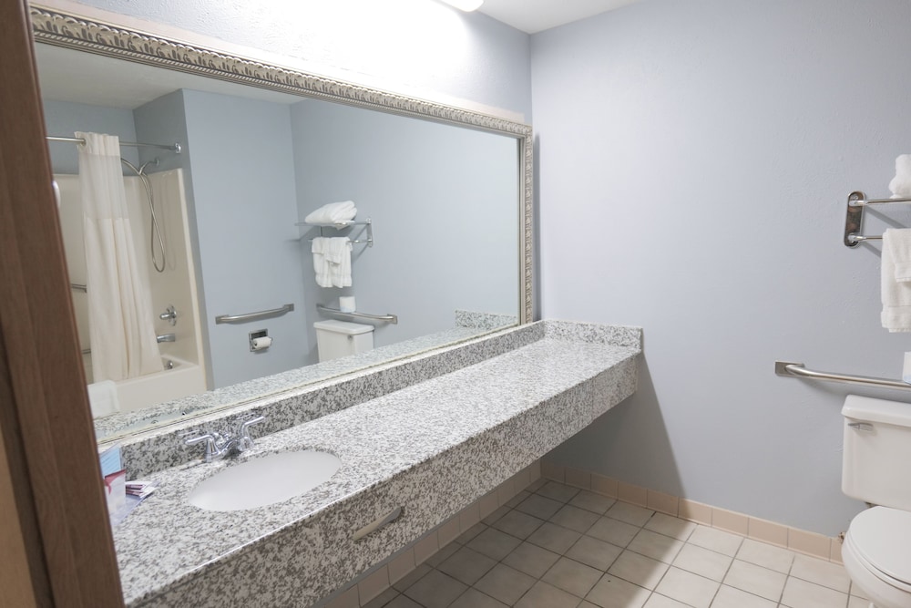Baymont by Wyndham Flint Airport North - photo 44