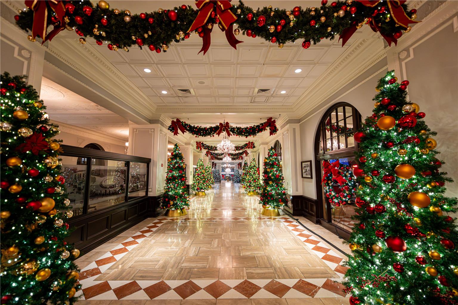 The Royal Sonesta Chase Park Plaza St. Louis - photo 3