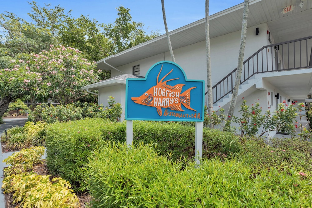 Park Shore Resort - photo 53