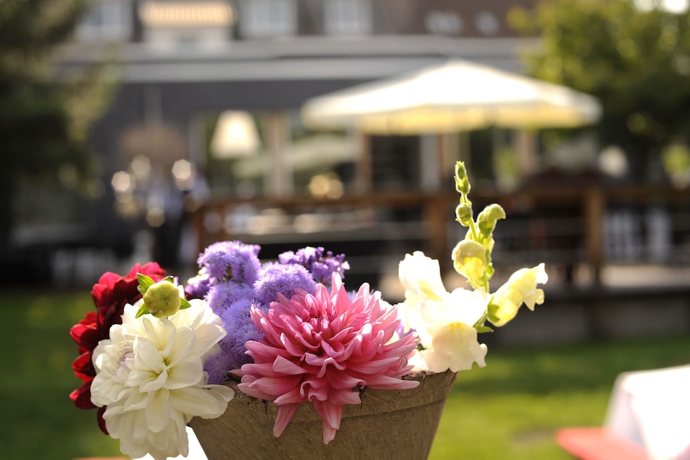 Boutique Hotel Viva Creativo in Hannover, Germany