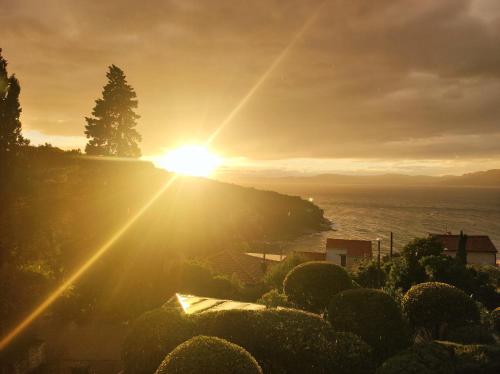 Villa Bonetti Postira — 4-Star Luxury Hotel in Postira, Croatia