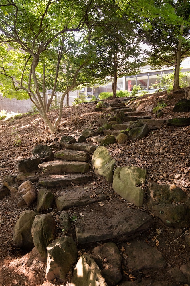 Rutgers University Inn and Conference Center - photo 21