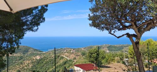 Le Pigne casa vacanze. — Pollica — photo 2