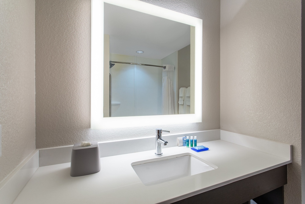 Holiday Inn Express Hotel & Suites Silver Springs Ocala by IHG - photo 15