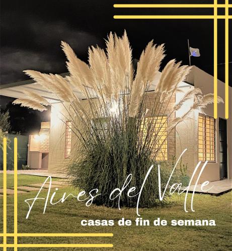 Aires del Valle in San Agustin De Valle Fertil, Argentina