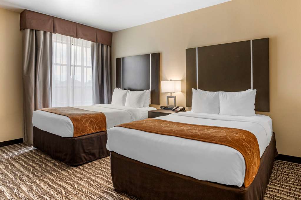 Comfort Suites Near Sam Houston Race Park - photo 12