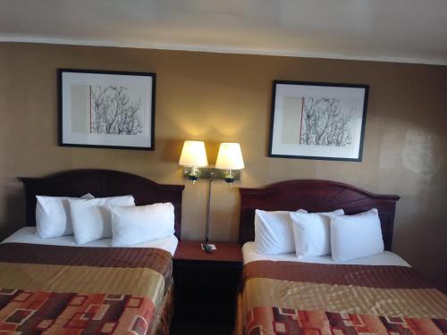 Garden Inn & Suites New Braunfels - photo 21